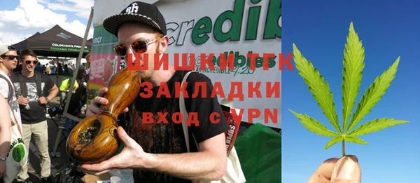 гидра Переславль-Залесский