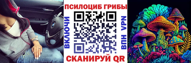 Псилоцибиновые грибы мухоморы  MEGA рабочий сайт  Козловка 